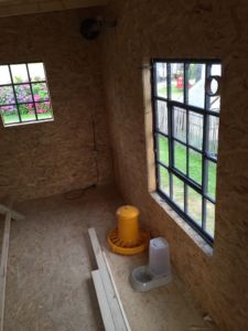 Fenster sind drin Team für Tiere Castrop-Rauxel e.V. | Tierschutz Patenhuhn12