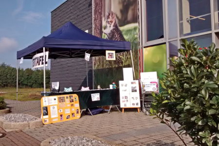 Kauf ein Teil mehr - Stand 6